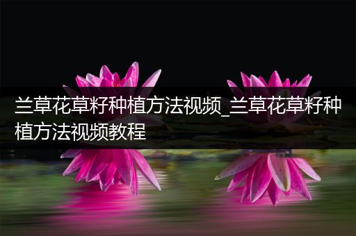 兰草花草籽种植方法视频_兰草花草籽种植方法视频教程