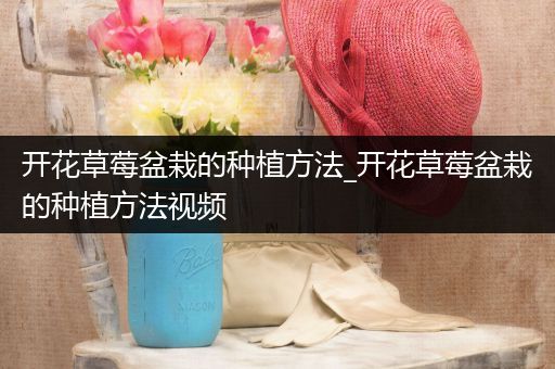 开花草莓盆栽的种植方法_开花草莓盆栽的种植方法视频