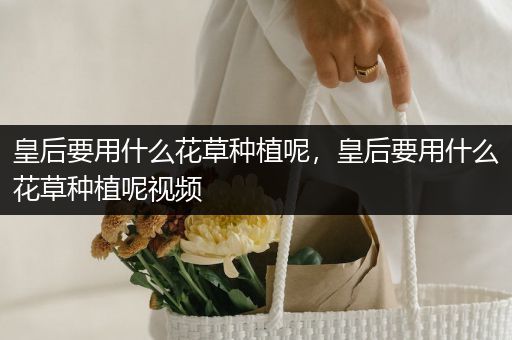 皇后要用什么花草种植呢，皇后要用什么花草种植呢视频