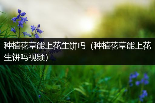 种植花草能上花生饼吗（种植花草能上花生饼吗视频）