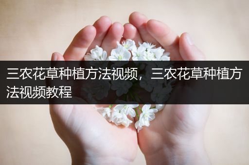 三农花草种植方法视频，三农花草种植方法视频教程