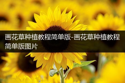 画花草种植教程简单版-画花草种植教程简单版图片
