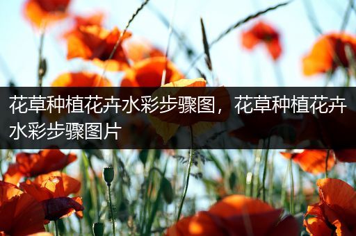 花草种植花卉水彩步骤图，花草种植花卉水彩步骤图片
