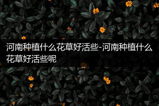 河南种植什么花草好活些-河南种植什么花草好活些呢