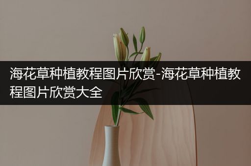 海花草种植教程图片欣赏-海花草种植教程图片欣赏大全