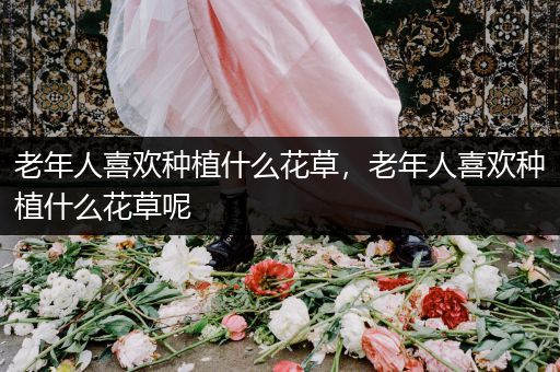 老年人喜欢种植什么花草，老年人喜欢种植什么花草呢