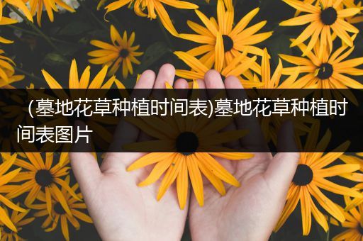 （墓地花草种植时间表)墓地花草种植时间表图片
