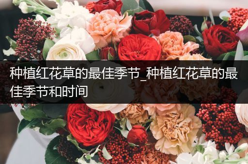 种植红花草的最佳季节_种植红花草的最佳季节和时间