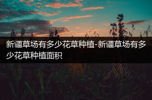 新疆草场有多少花草种植-新疆草场有多少花草种植面积