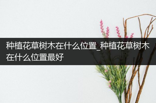 种植花草树木在什么位置_种植花草树木在什么位置最好