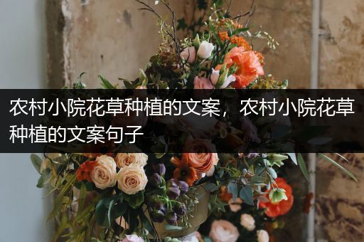 农村小院花草种植的文案，农村小院花草种植的文案句子