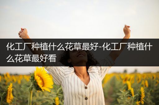 化工厂种植什么花草最好-化工厂种植什么花草最好看