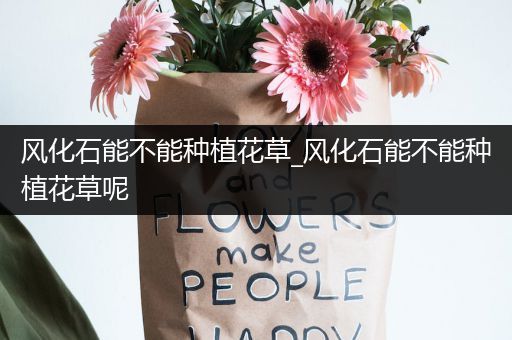 风化石能不能种植花草_风化石能不能种植花草呢
