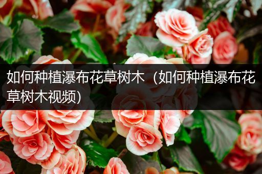如何种植瀑布花草树木（如何种植瀑布花草树木视频）