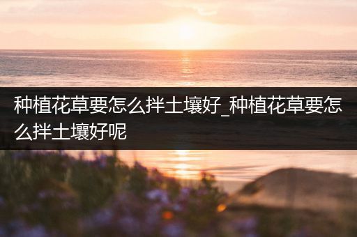 种植花草要怎么拌土壤好_种植花草要怎么拌土壤好呢
