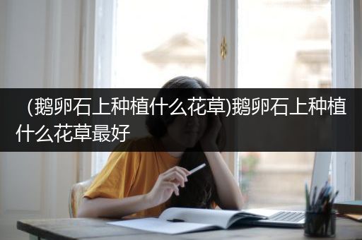（鹅卵石上种植什么花草)鹅卵石上种植什么花草最好