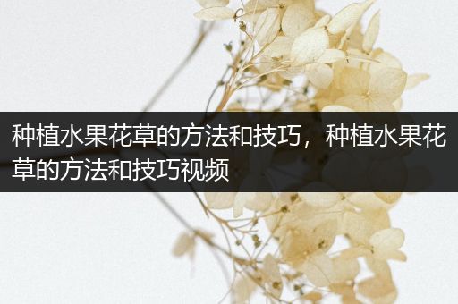 种植水果花草的方法和技巧，种植水果花草的方法和技巧视频