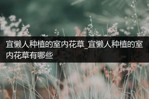 宜懒人种植的室内花草_宜懒人种植的室内花草有哪些