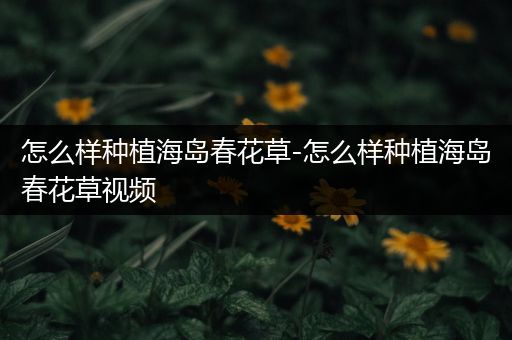 怎么样种植海岛春花草-怎么样种植海岛春花草视频