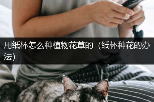 用纸杯怎么种植物花草的（纸杯种花的办法）