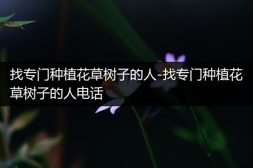 找专门种植花草树子的人-找专门种植花草树子的人电话