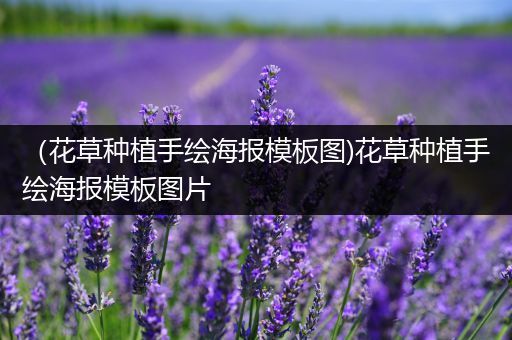 （花草种植手绘海报模板图)花草种植手绘海报模板图片