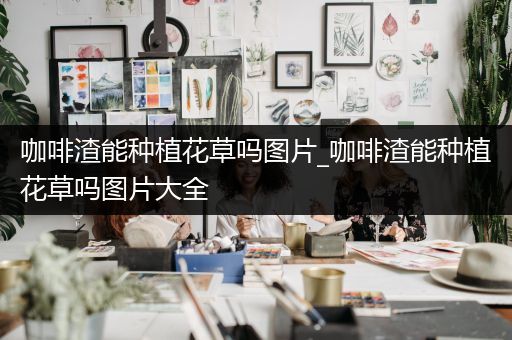 咖啡渣能种植花草吗图片_咖啡渣能种植花草吗图片大全