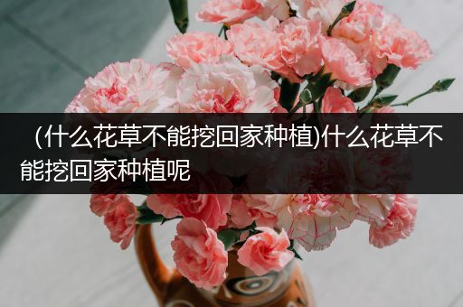（什么花草不能挖回家种植)什么花草不能挖回家种植呢