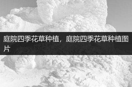 庭院四季花草种植，庭院四季花草种植图片
