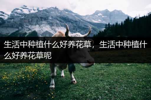 生活中种植什么好养花草，生活中种植什么好养花草呢