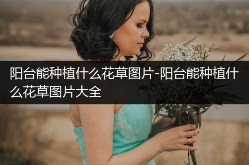 阳台能种植什么花草图片-阳台能种植什么花草图片大全