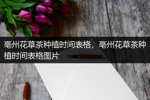 亳州花草茶种植时间表格，亳州花草茶种植时间表格图片