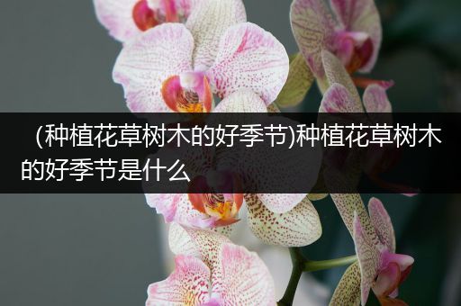 （种植花草树木的好季节)种植花草树木的好季节是什么