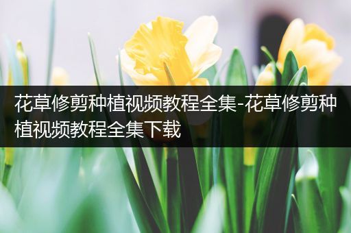 花草修剪种植视频教程全集-花草修剪种植视频教程全集下载