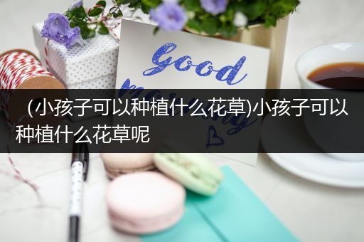 （小孩子可以种植什么花草)小孩子可以种植什么花草呢