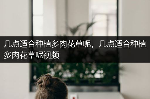 几点适合种植多肉花草呢，几点适合种植多肉花草呢视频