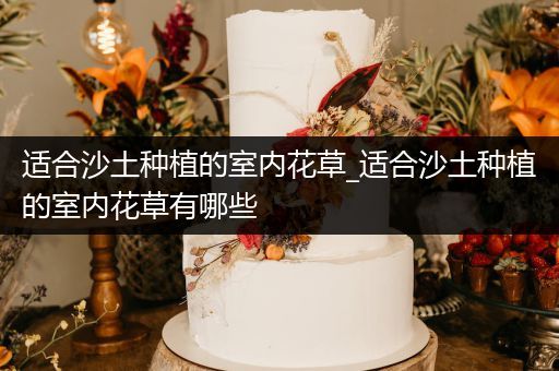 适合沙土种植的室内花草_适合沙土种植的室内花草有哪些