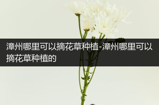 漳州哪里可以摘花草种植-漳州哪里可以摘花草种植的