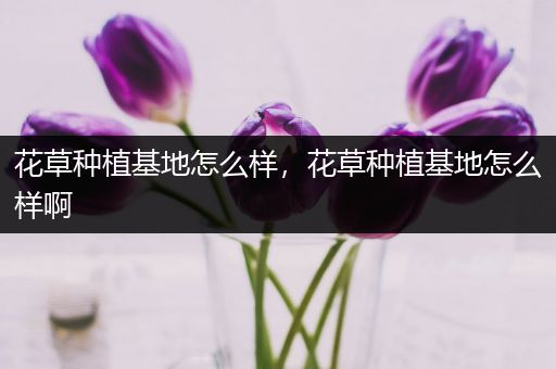 花草种植基地怎么样，花草种植基地怎么样啊