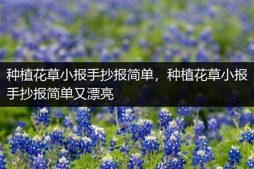 种植花草小报手抄报简单，种植花草小报手抄报简单又漂亮