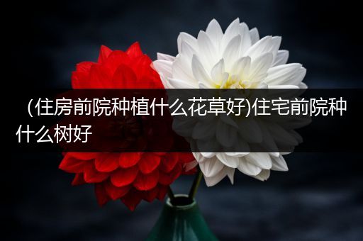 （住房前院种植什么花草好)住宅前院种什么树好