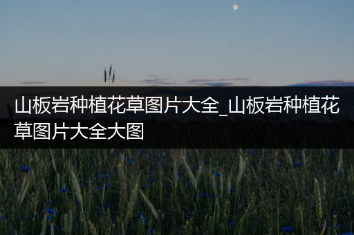 山板岩种植花草图片大全_山板岩种植花草图片大全大图