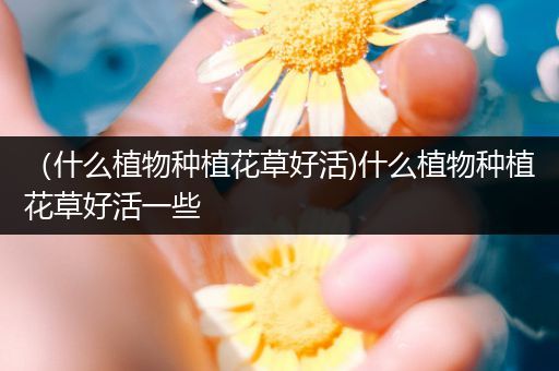 （什么植物种植花草好活)什么植物种植花草好活一些
