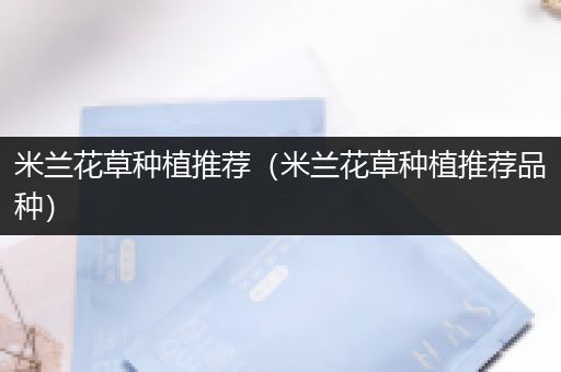 米兰花草种植推荐（米兰花草种植推荐品种）