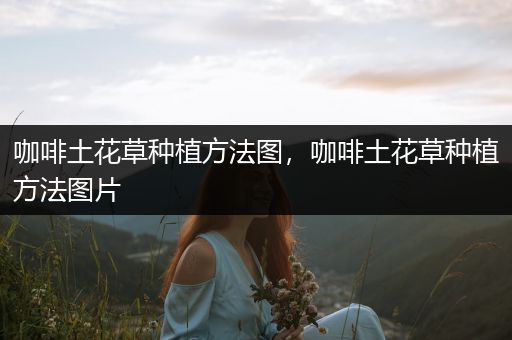 咖啡土花草种植方法图，咖啡土花草种植方法图片