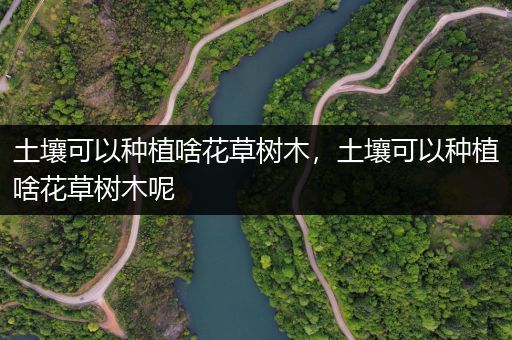 土壤可以种植啥花草树木，土壤可以种植啥花草树木呢