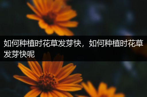 如何种植时花草发芽快，如何种植时花草发芽快呢