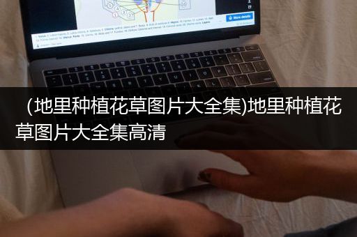 （地里种植花草图片大全集)地里种植花草图片大全集高清