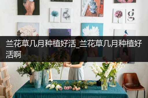 兰花草几月种植好活_兰花草几月种植好活啊