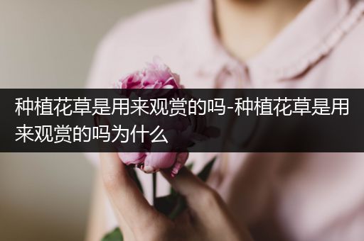 种植花草是用来观赏的吗-种植花草是用来观赏的吗为什么